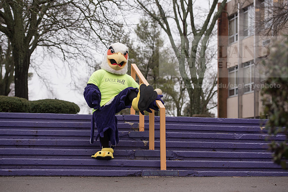 Tuffy - Campus Wellness Program