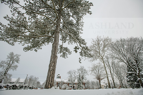 WinterCampusLife0123ALW_3170