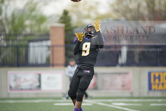 Spring Football Game