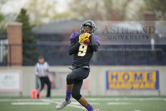 Spring Football Game
