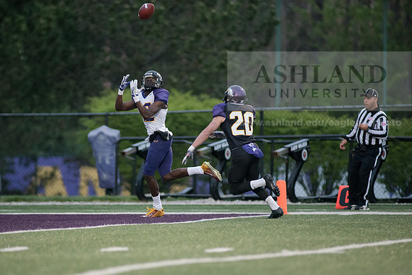 Spring Football Game