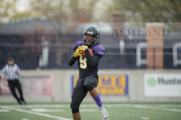 Spring Football Game