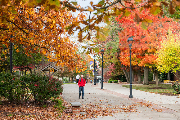 FallCampusLife1024AWB_8899
