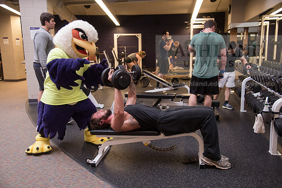 Tuffy - Campus Wellness Program