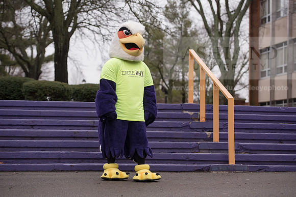 Tuffy - Campus Wellness Program