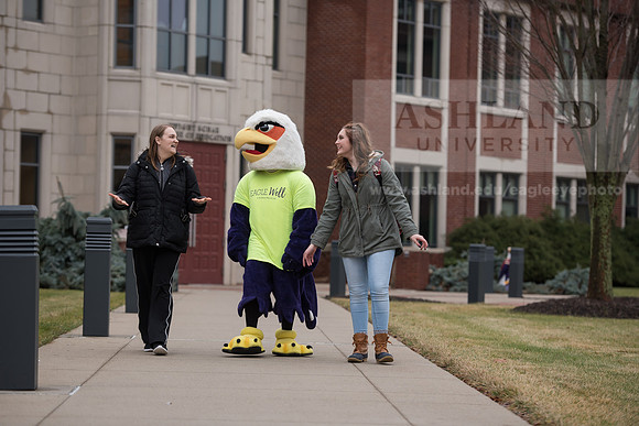 Tuffy - Campus Wellness Program