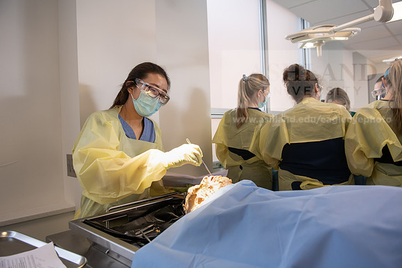 PAProgramCadaverLab1221ALW_4229