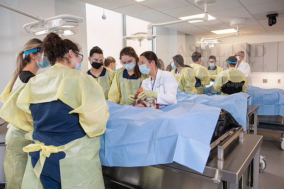 PAProgramCadaverLab1221ALW_4085