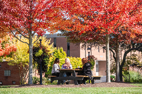 FallCampusLife1024AWB_5918