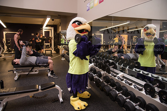 Tuffy - Campus Wellness Program