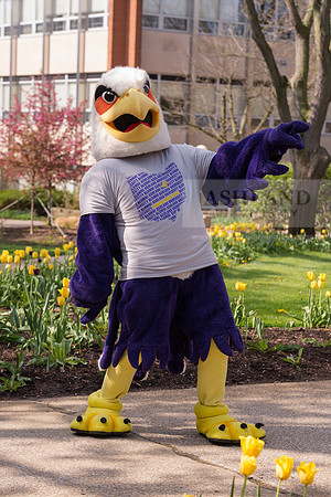 Tuffy0416ALW_1114