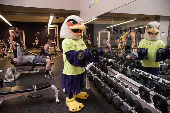 Tuffy - Campus Wellness Program