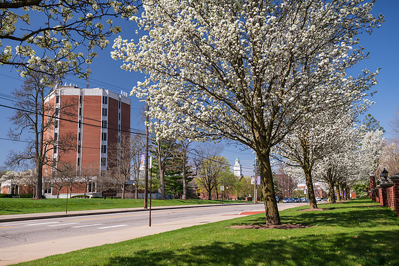 SpringCampus0421ALW_5736