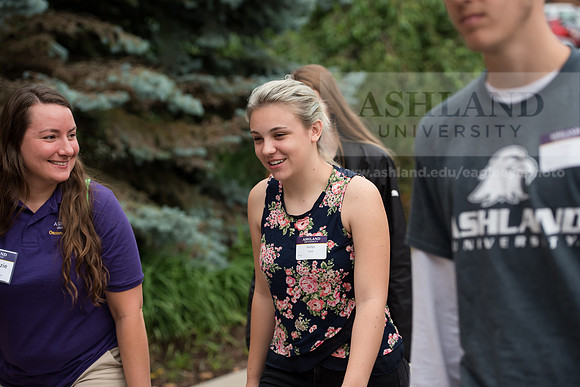 Orientation Number 2