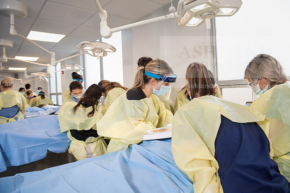 PAProgramCadaverLab1221ALW_4252