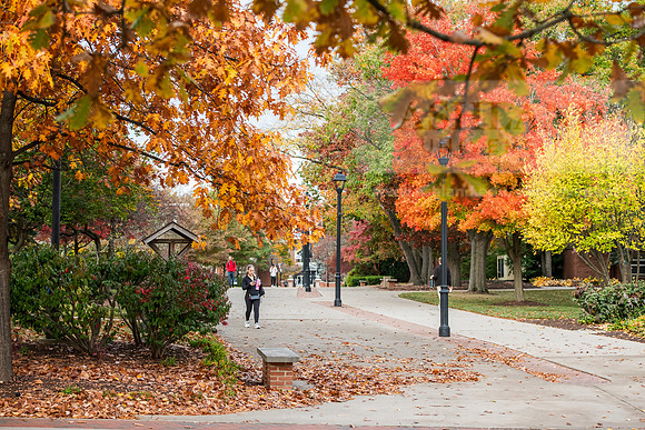 FallCampusLife1024AWB_8892