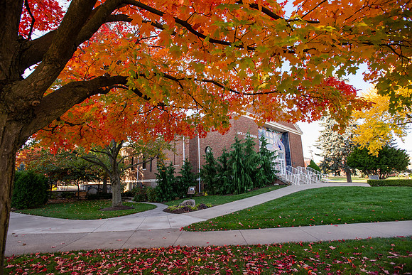 FallCampusLife1024AWB_5054