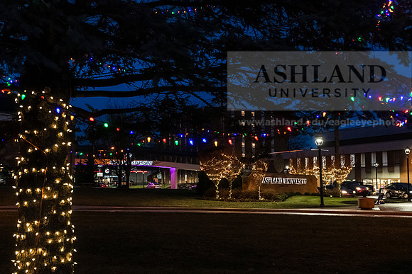 ChristmasDecorations1224AWB_5413