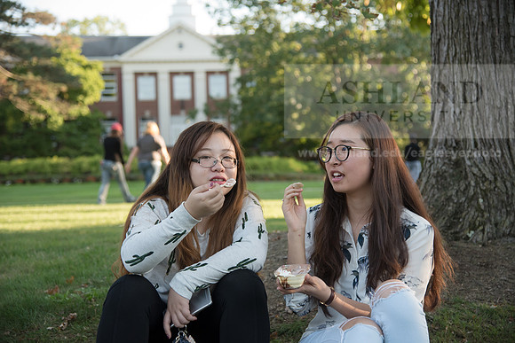 Banana Splittin' Campus Activity