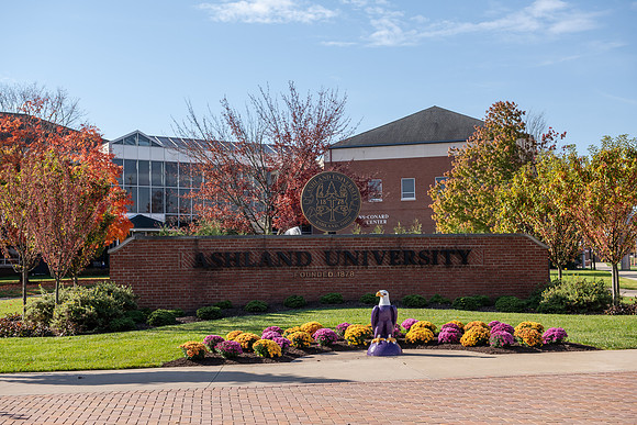 FallCampusLife1024AWB_5676