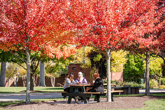 FallCampusLife1024AWB_5950