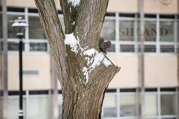 StudentsReturnWinterCampus0125AWB_6485