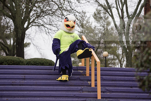 Tuffy - Campus Wellness Program
