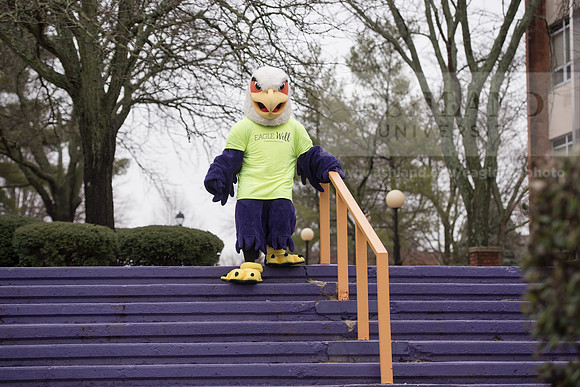 Tuffy - Campus Wellness Program