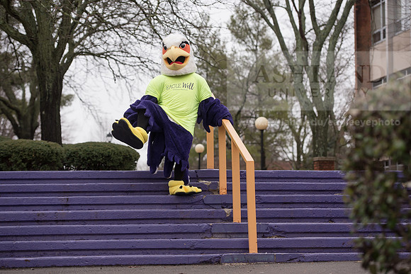 Tuffy - Campus Wellness Program