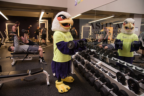 Tuffy - Campus Wellness Program