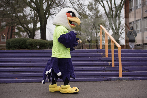 Tuffy - Campus Wellness Program