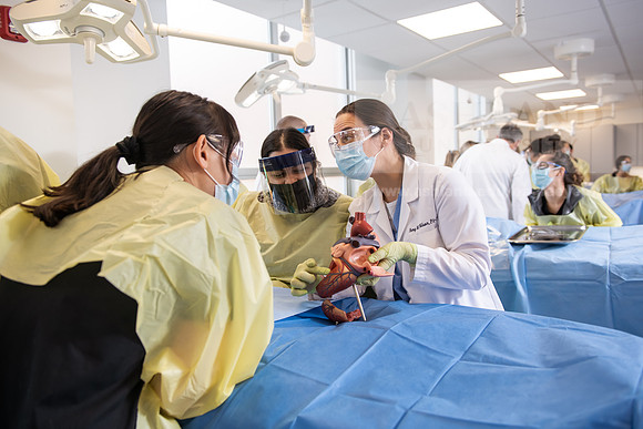PAProgramCadaverLab1221ALW_4130