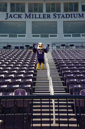 Tuffy Preparing for Marathon