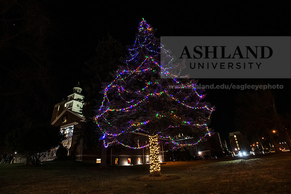 ChristmasDecorations1224AWB_5185