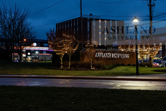 ChristmasDecorations1224AWB_5353