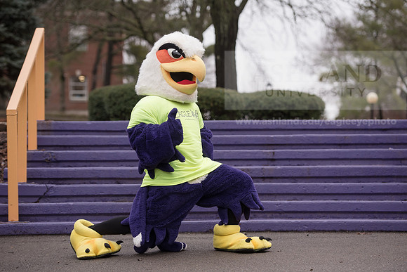 Tuffy - Campus Wellness Program