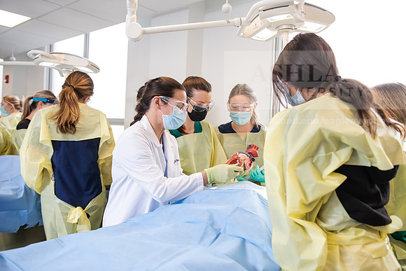 PAProgramCadaverLab1221ALW_4060