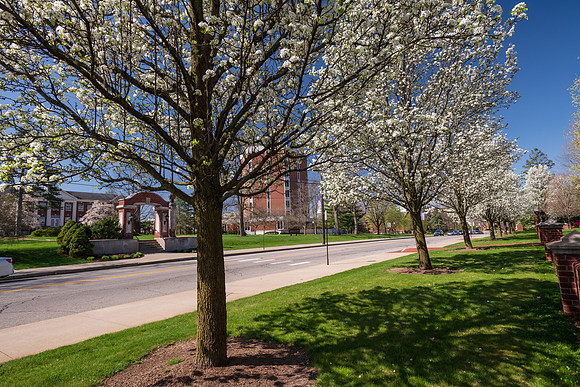 SpringCampus0421ALW_5717