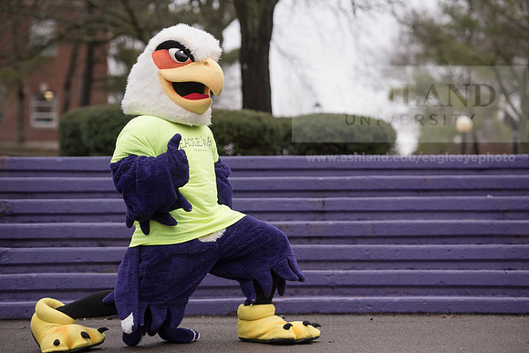 Tuffy - Campus Wellness Program