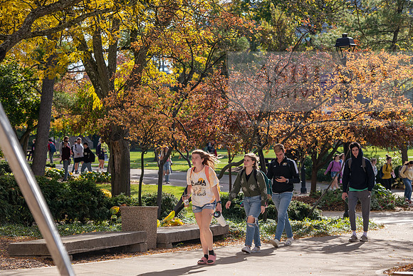 FallCampusLife1024AWB_5549