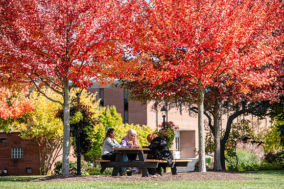 FallCampusLife1024AWB_5925