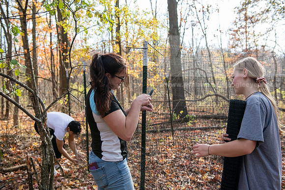 DeerExclosureBIOProject1024AWB_7648