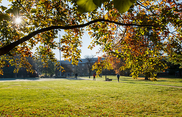 FallCampus1121ALW_3098