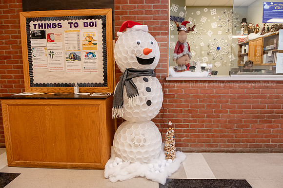 ChristmasDecorations1224AWB_5346