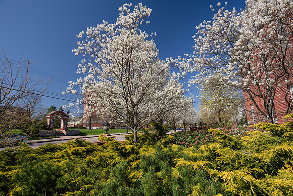 SpringCampus0421ALW_5695