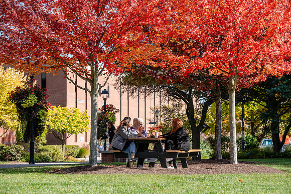 FallCampusLife1024AWB_5809