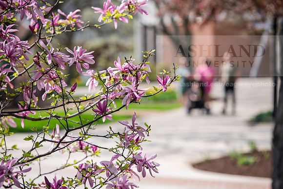 086SpringCampusLife0425AWB_9965