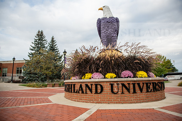 FallCampusLife1023AWB_1575