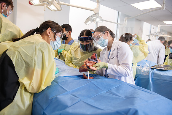 PAProgramCadaverLab1221ALW_4131