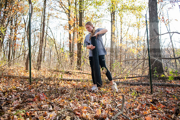DeerExclosureBIOProject1024AWB_7596